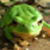 :iconmyfrosch: