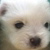 :iconmyhug95: