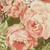 MyIceEyes :iconmyiceeyes: