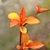 myimmortal26 :iconmyimmortal26: