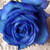 :iconmyimmortaldreams: