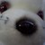 :iconmyindyrox2: