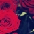 :iconmyinterpretation: