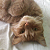 :iconmykatfluffy: