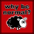 :iconmyladimoon-stock: