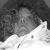 :iconmylastbrokenheart: