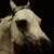 :iconmylifemygame: