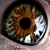 :iconmylifesonhigh: