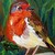 :iconmylittlebird: