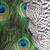 :iconmylittlecastle: