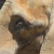 :iconmylittlecup: