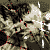 mylkhead :iconmylkhead: