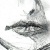 :iconmylsd: