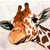 :iconmym-z: