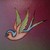 :iconmymarker: