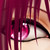:iconmyminimew: