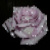 :iconmymoonsquirrel: