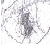 :iconMynxies-Trix: