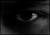 :iconmyorek: