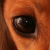 :iconMyou-Mo-mento: