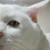 :iconmyouzero: