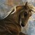 :iconmyponyz:
