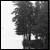 :iconmyrfa: