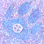 :iconmyrhlyn:
