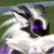 :iconmyrkrormr:
