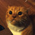 Myrmoorzai :iconmyrmoorzai:
