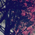 :iconmyrratyrra: