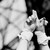 :iconmyrthleto: