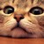 :iconmysecretbliss: