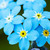 MySensesAreFailing :iconmysensesarefailing:
