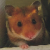 :iconmysiaogonek: