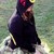 :iconmysicunknown: