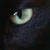 :iconmysleepingwolf: