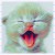 :iconmysnia: