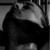 :iconmyspaceice: