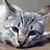 :iconmystereydeviant35: