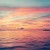 :iconmysteriousartiste: