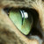 :iconmysteriousb: