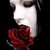 :iconmysteriousgothicrose: