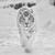 :iconmysterioussnowtiger: