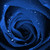 :iconmystery-nicky: