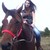:iconmystery49231:
