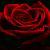 :iconMysteryGirl2701: