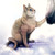 :iconmysteryheart: