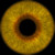 :iconmysterysgames: