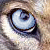 :iconmysterywriter101: